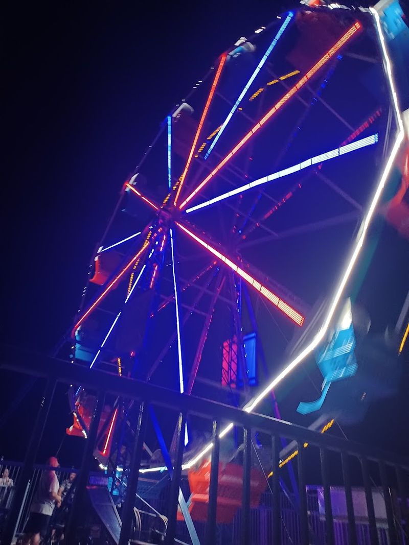 Carousel Rides Keep the Magic Spinning