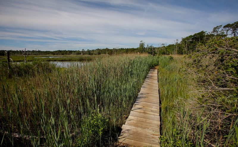 Cattus Island County Park Cattus Island County Park
