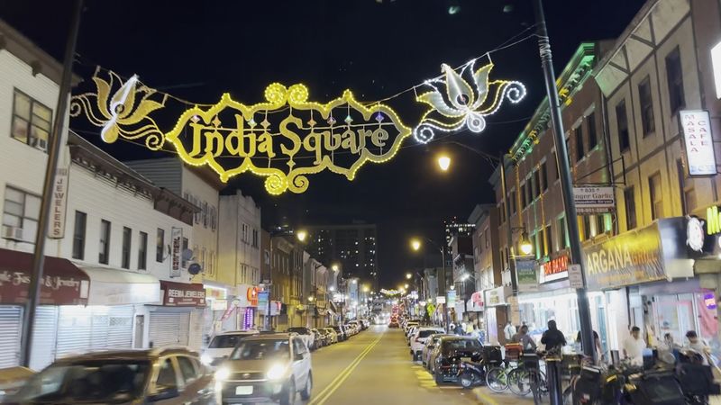 Chaat, Samosas, and the Joy of Street Food Chaat, Samosas, and the Joy of Street Food