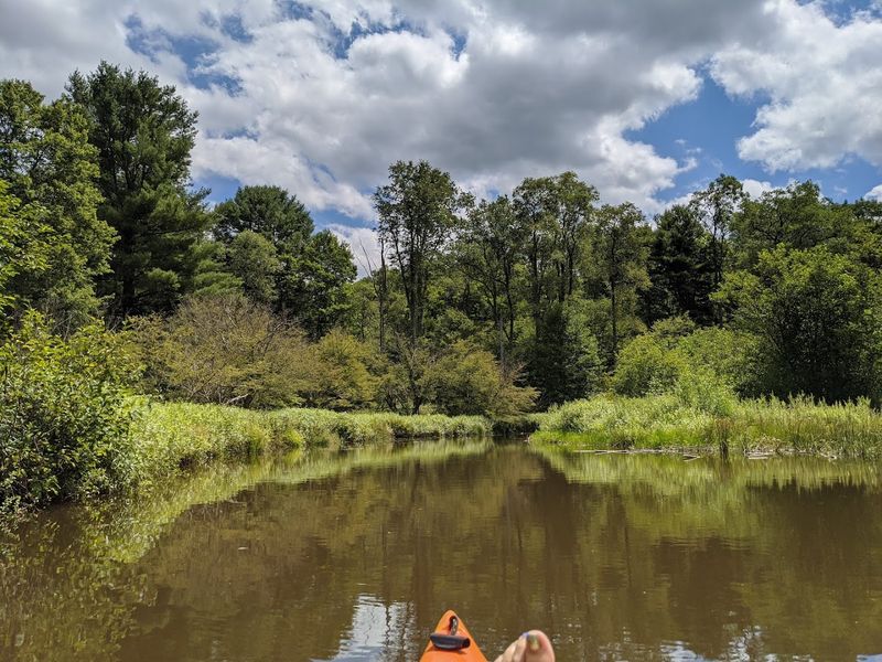 Chapman State Park