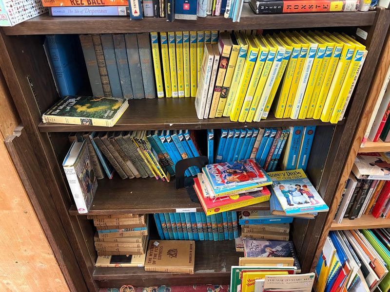 Children's Books and Nostalgic Reads for All Ages Children's Books and Nostalgic Reads for All Ages