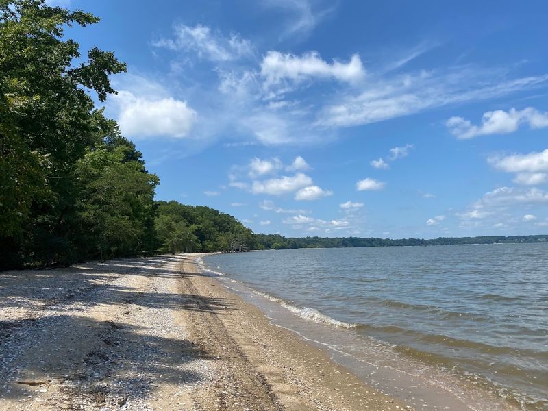 Chippokes State Park, Surry, VA
