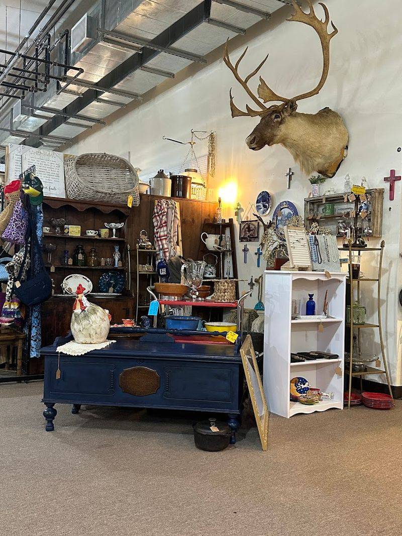 Collectibles That Spark Genuine Nostalgia