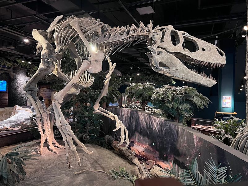 Come Face to Face With Alabama's Real Dinosaur Fossils