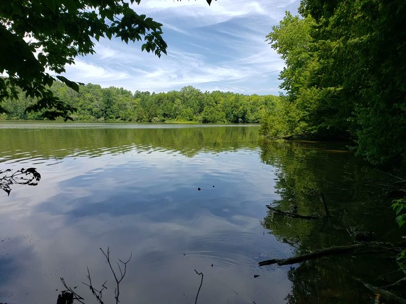 Come Ready To Fish The Lake All Day