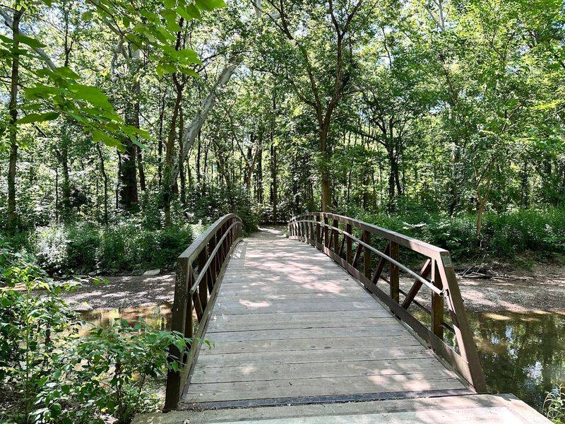 Come Walk the One-Mile Nature Trail Through Cool Creek Woods