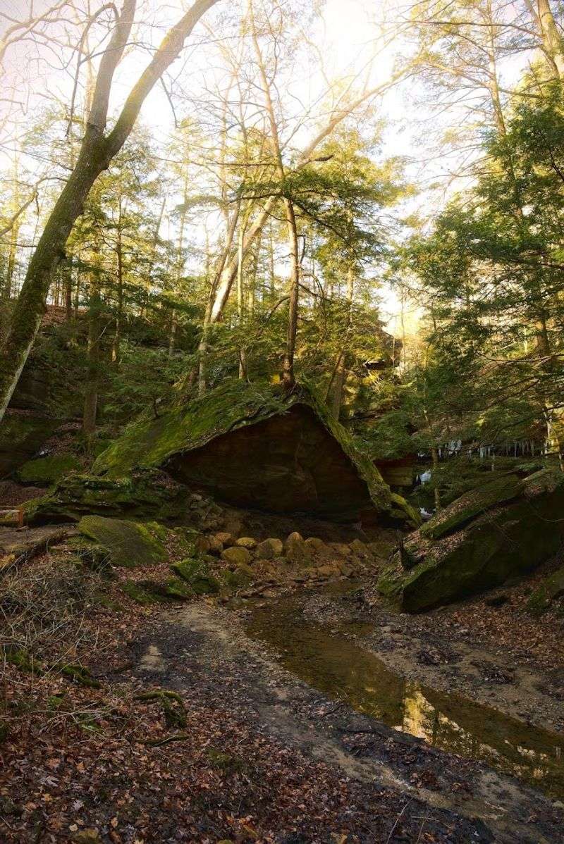 Come Watch Seasonal Waterfalls Pour Over Mossy Ledges