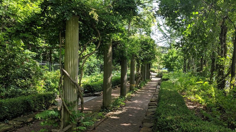 Come Watch the Butterfly Garden Come Alive With Pollinators