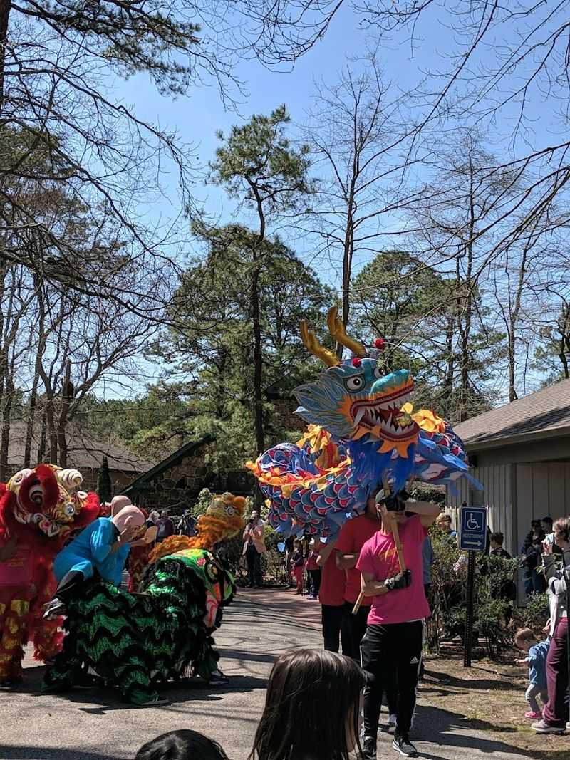 Complimentary Family Art Activities