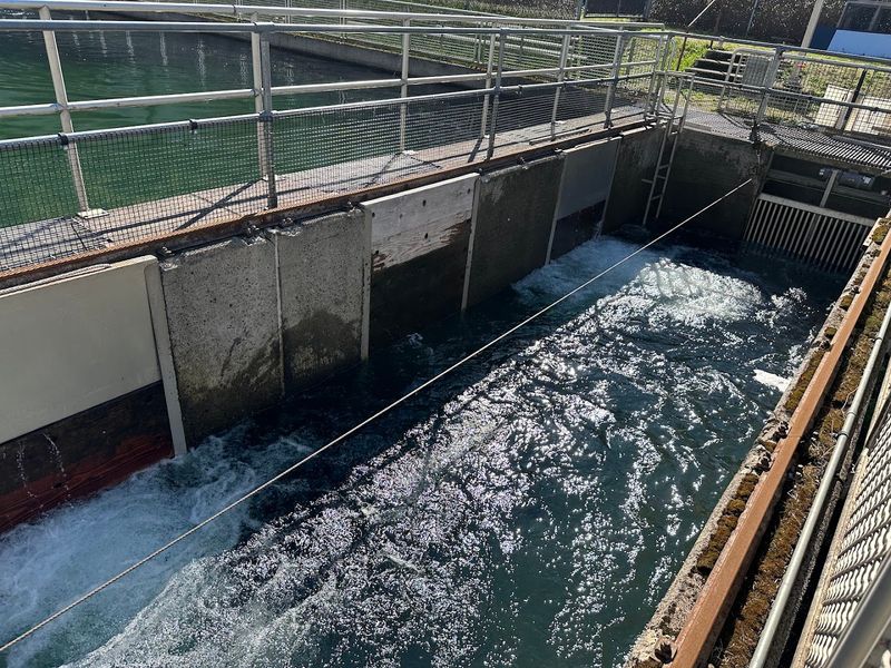 Connecting to the Bonneville Dam Fish Ladder