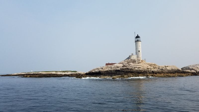 Conservation Efforts Keeping the Lighthouse Alive