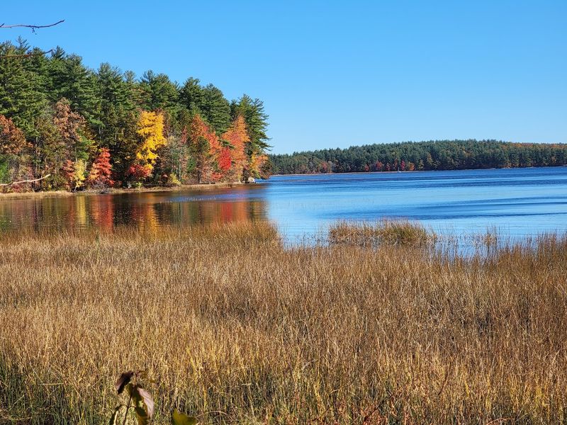 Conservation Land That Protects the Past and Present