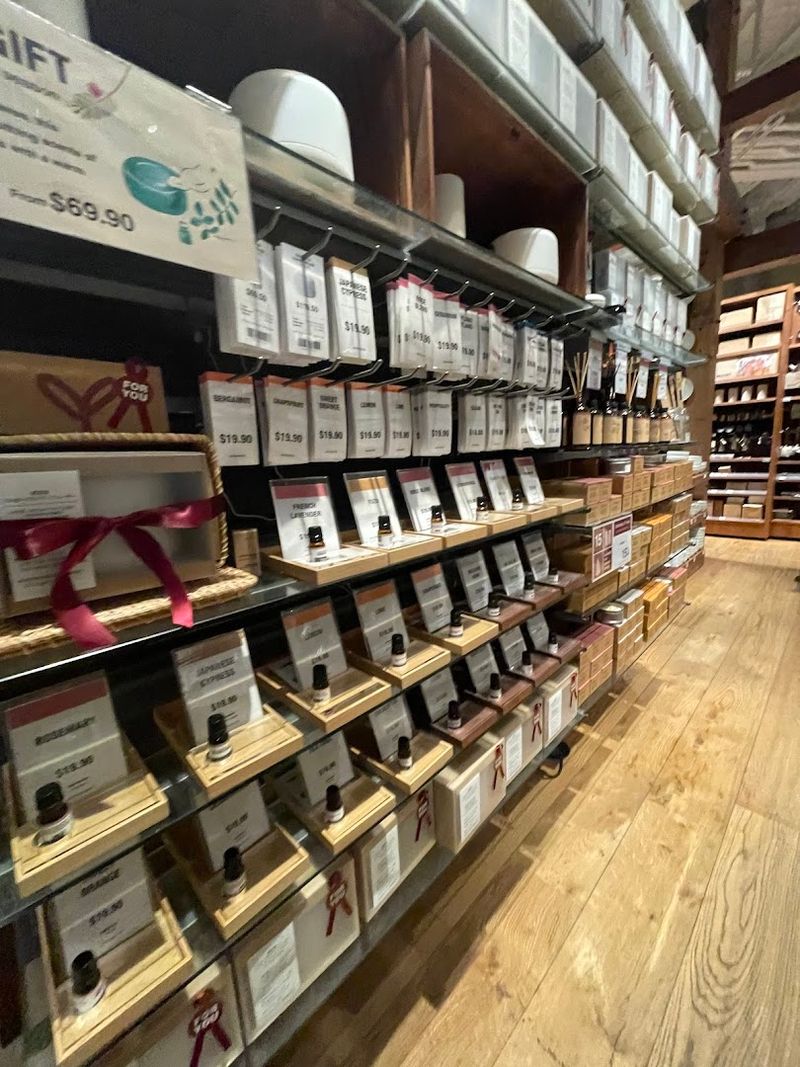 Cosmetics and Travel Essentials