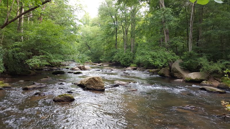 Creek Stomping at the Middle Patuxent River Creek Stomping at the Middle Patuxent River