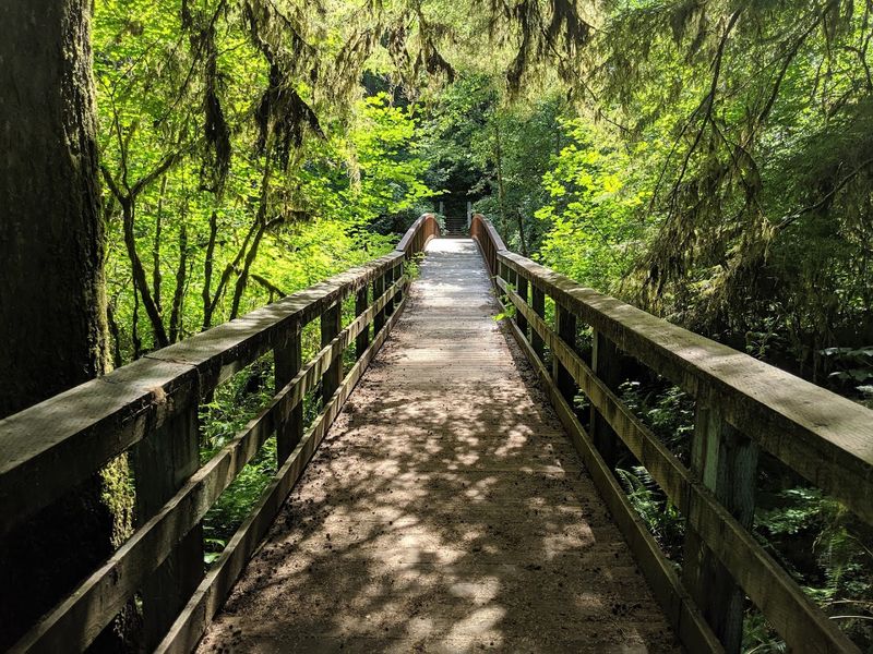 Crossing the Steel Footbridge Over the Siletz River
