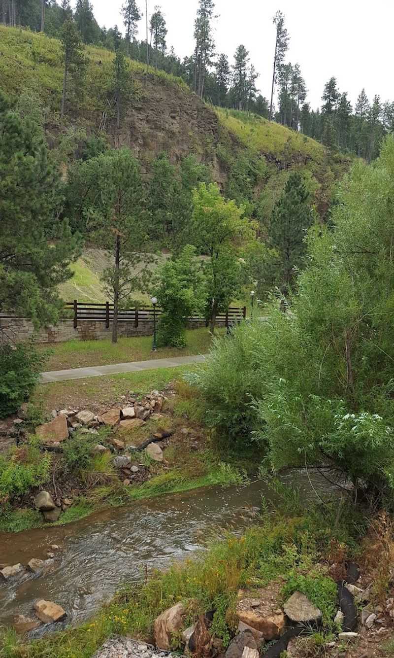 Cyanide Creek and the Land That Paid the Price