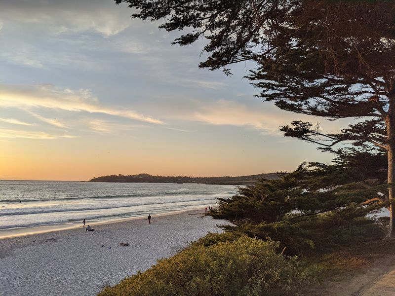 Cypress Trees, Sunsets, and the Walk Along Scenic Road