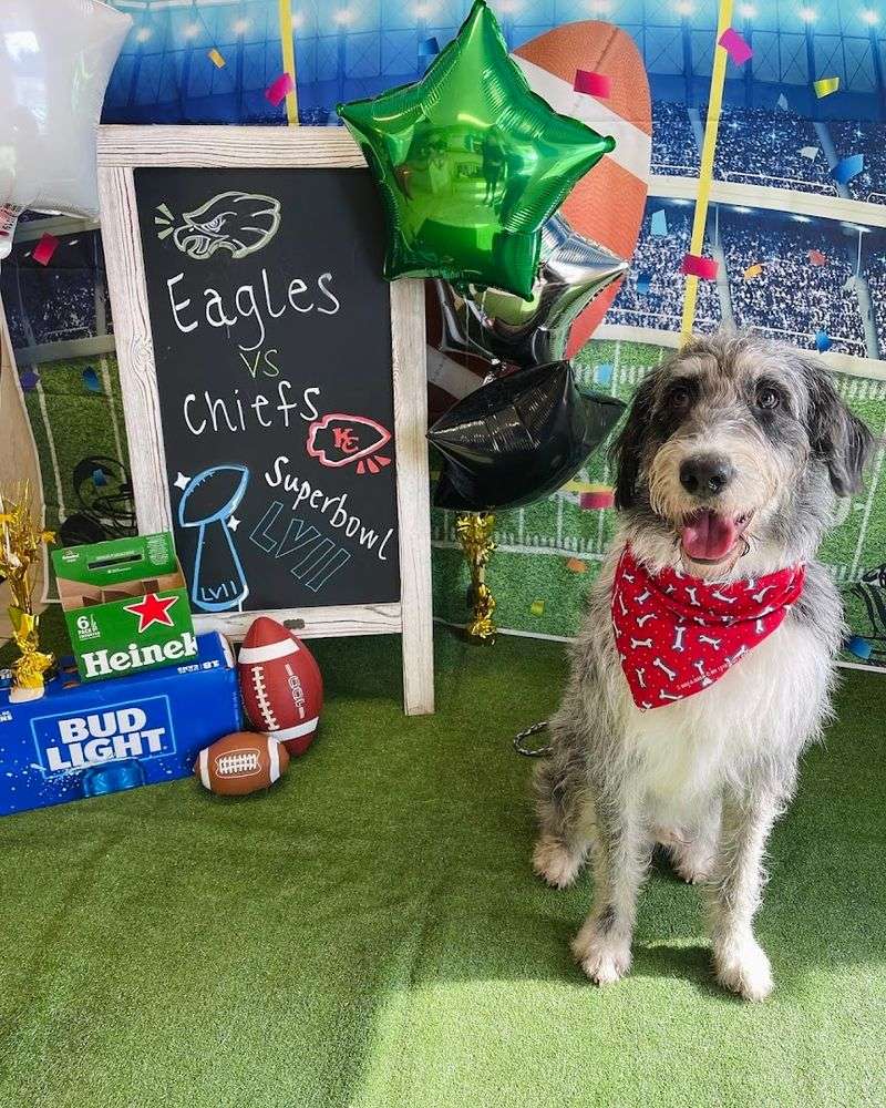Daily Social Media Updates That Keep Owners in the Loop