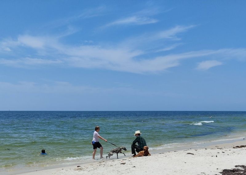 Dauphin Island