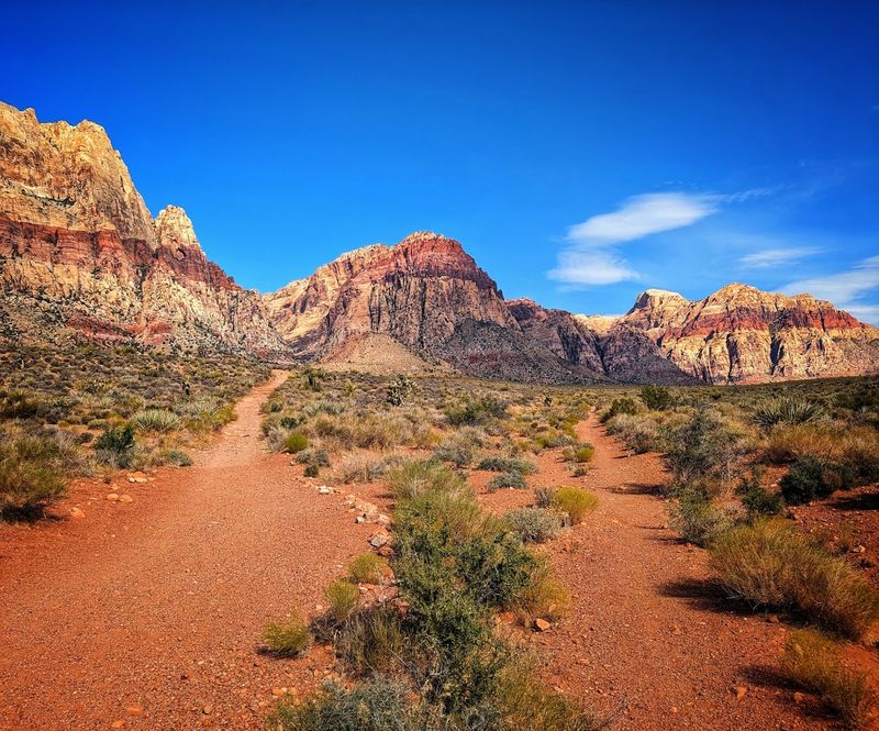 Day 1 Morning: Hiking the Red Rock Canyon Sandstone Cliffs Day 1 Morning: Hiking the Red Rock Canyon Sandstone Cliffs
