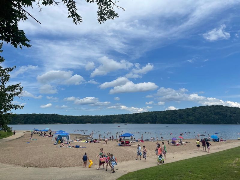 Deam Lake State Recreation Area Beach