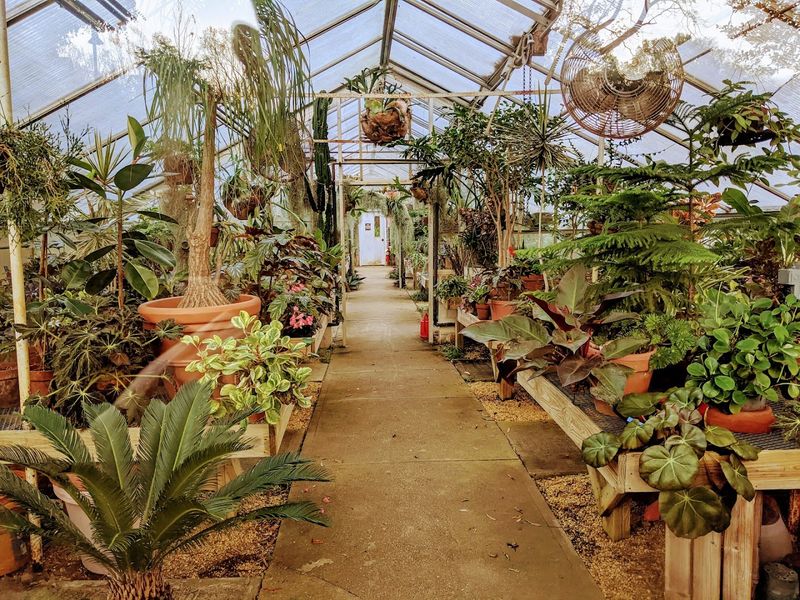 Deep Cut Gardens
