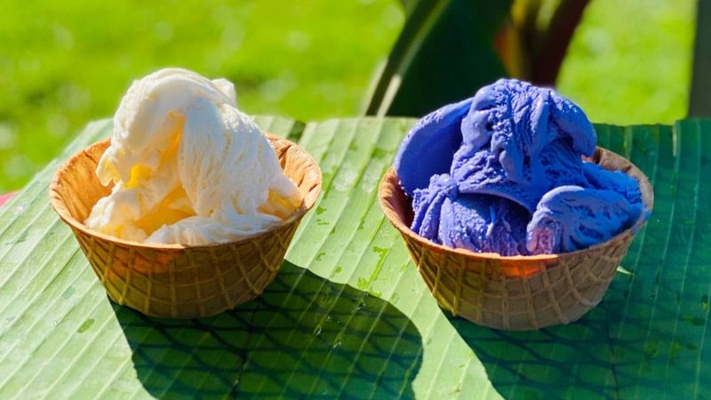 Desserts That Deserve Their Own Standing Ovation