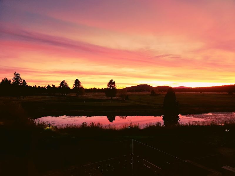 Dinner Service With a View Worth Staying For
