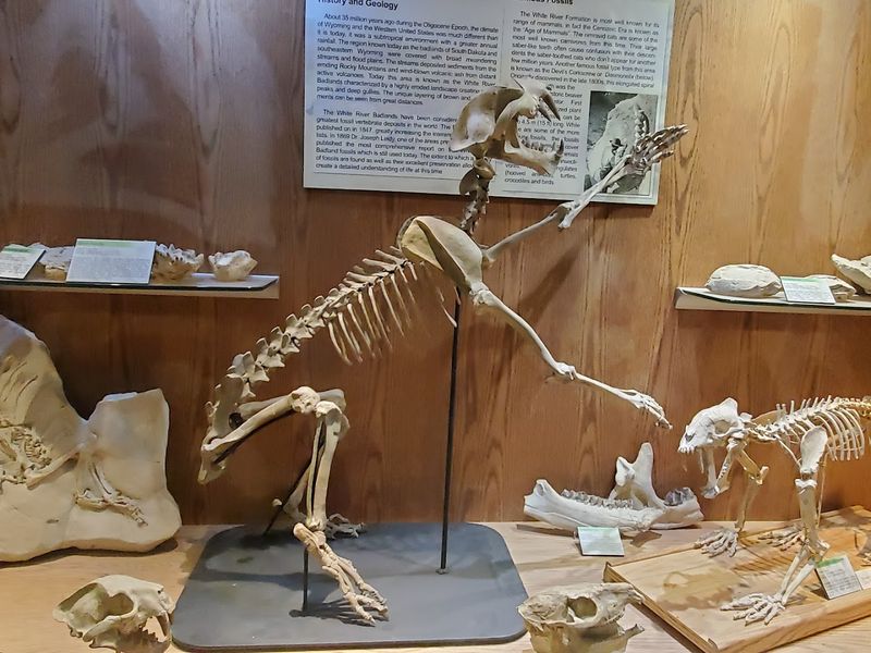 Dinosaur Academy and Teacher's Workshop: Learning That Goes Beyond the Field Trip