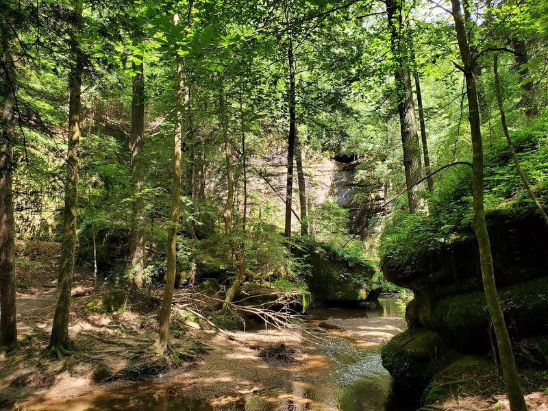 Dismals Canyon, Phil Campbell