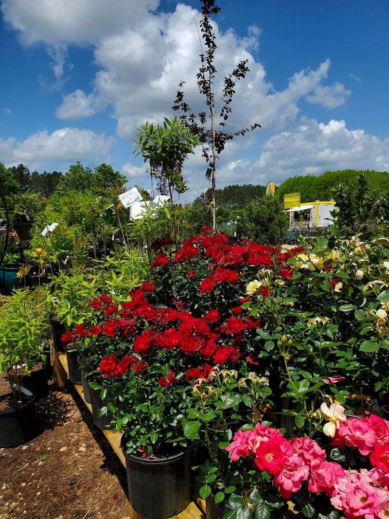 Do Not Miss This Rare Horticultural Destination In Alabama