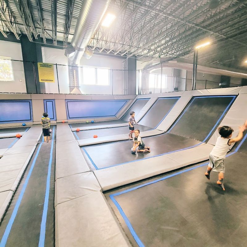 Dodgeball Court Where Things Get Competitive