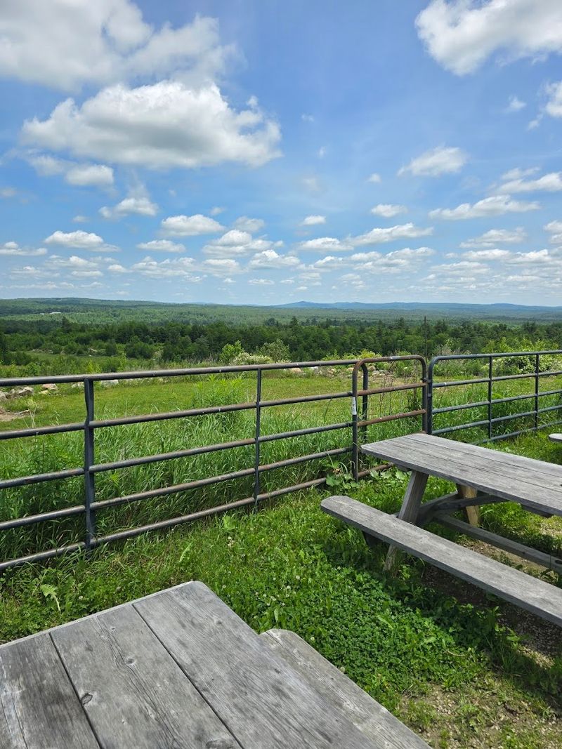 Dog-Friendly Outdoor Seating With Big Sky Energy