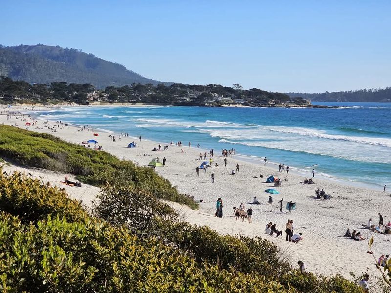Dogs, Families, and the Laid-Back Beach Culture