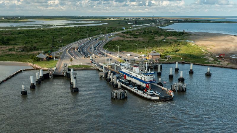 Dolphins, Pelicans, and Cargo Ships, The Wildlife Show On The Water