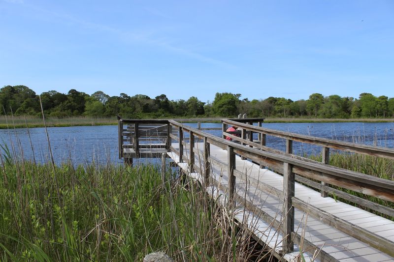 Duck Pond Trail, Cape May Point State Park