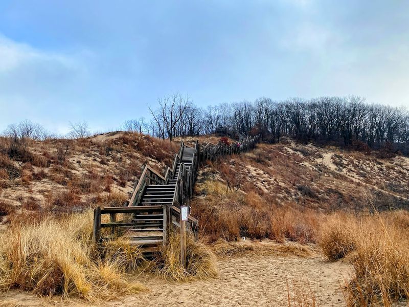 Dune Succession Trail at Indiana Dunes National Park Dune Succession Trail at Indiana Dunes National Park