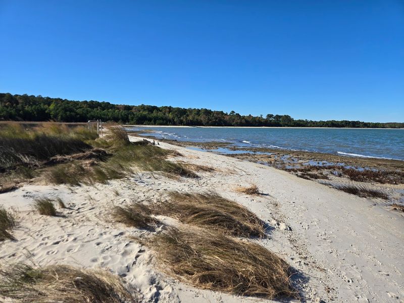 Dunes, Wetlands, and Rare Coastal Habitats