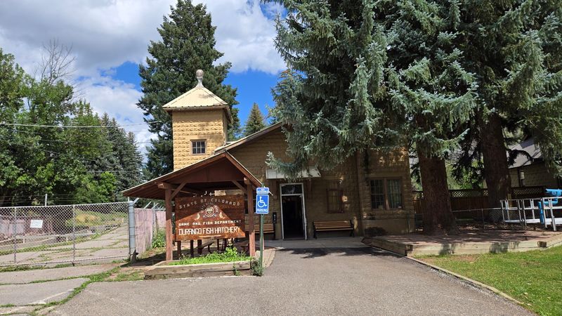 Durango Fish Hatchery And Wildlife Museum Durango Fish Hatchery And Wildlife Museum