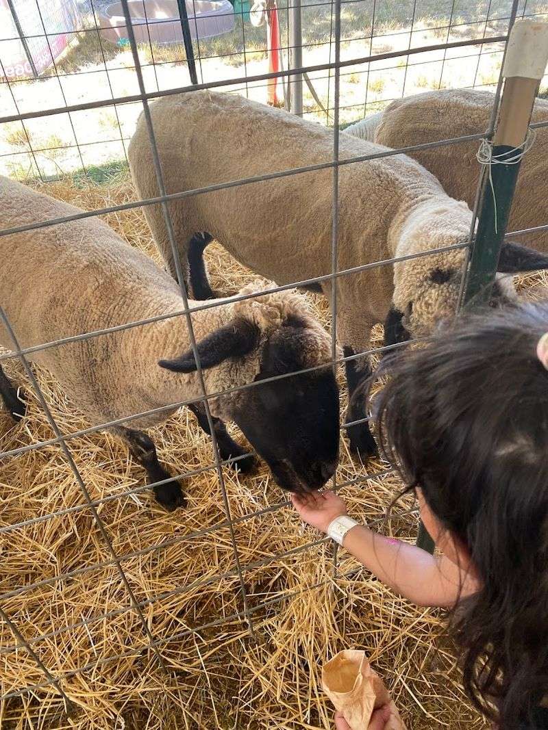 Educational Programs That Make Farming Cool