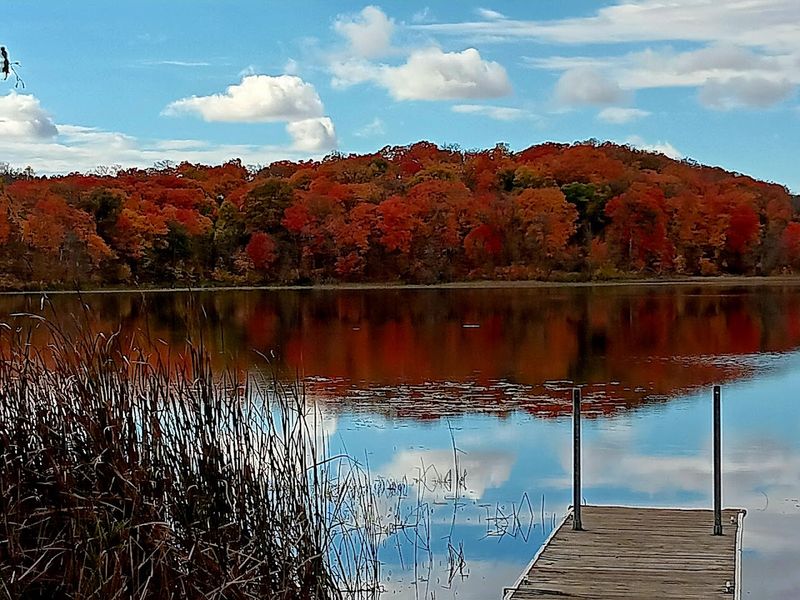 Eight Beautiful Lakes Scattered Across the Park