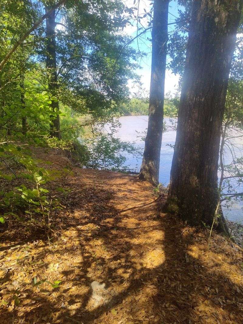 Eight Miles Of Trails Through Shaded Wilderness