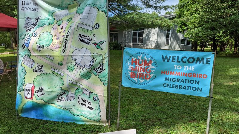 Exceptional Hummingbird Viewing and Live Banding Demonstrations Exceptional Hummingbird Viewing and Live Banding Demonstrations