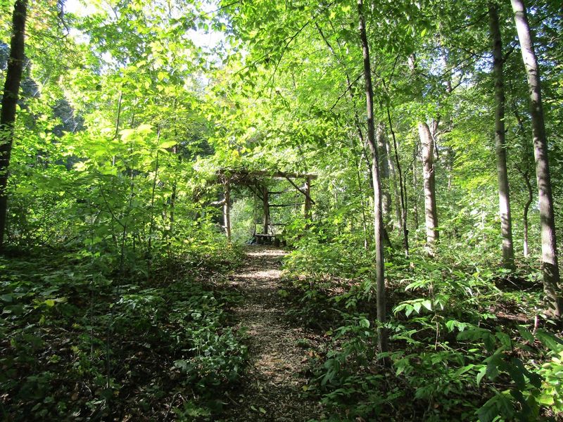 Explore Over 3 Miles of Forest and Lakeside Trails