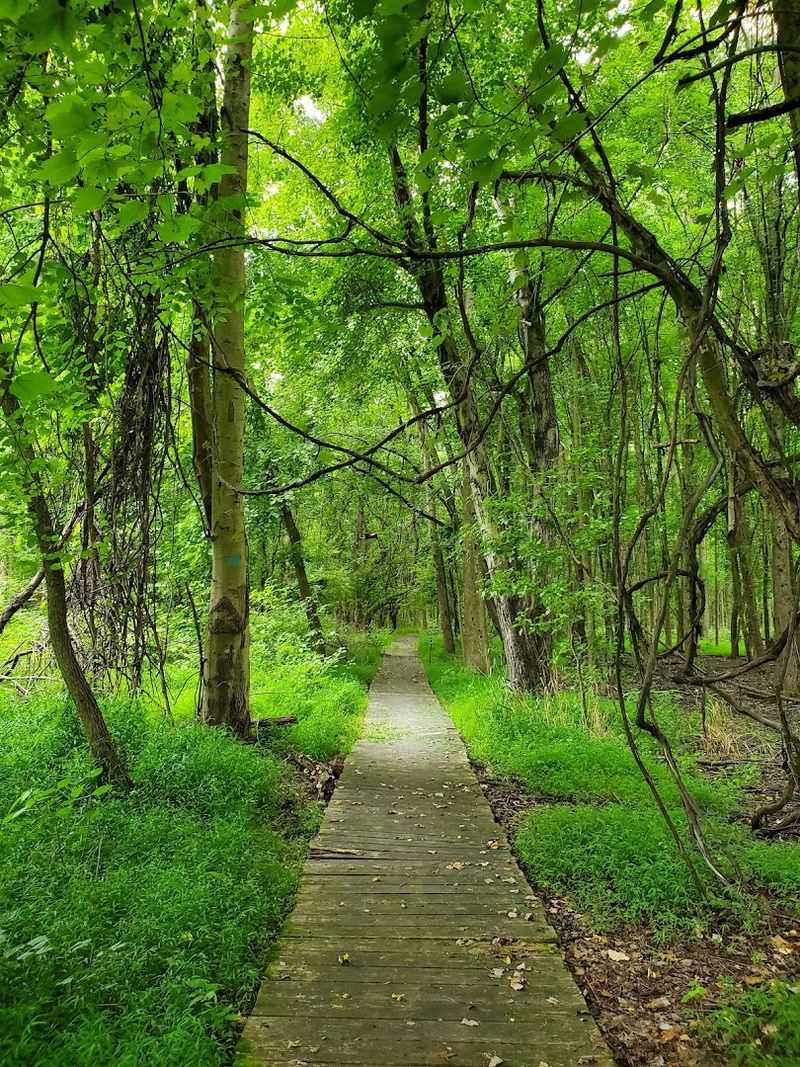 Explore Rancocas Nature Center