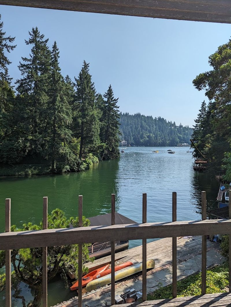 Exploring the Area Around the Lake