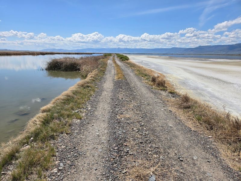 Exploring the Area: Roads, Trails, and Access Points