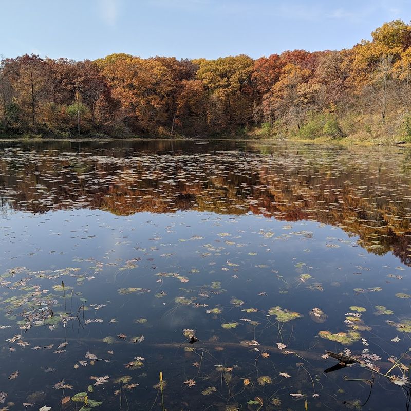 Fall Colors That Turn the Park Into a Living Painting Fall Colors That Turn the Park Into a Living Painting