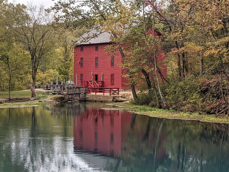 Fall Colors and Seasonal Beauty at the Site