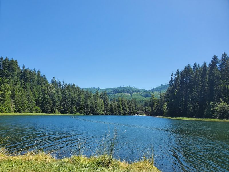 Fall Creek State Recreation Site, Lane County, Oregon